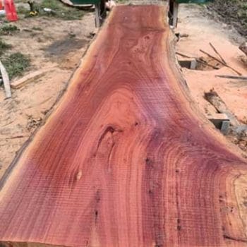 Red Gum Milled on the GT34 Deluxe
