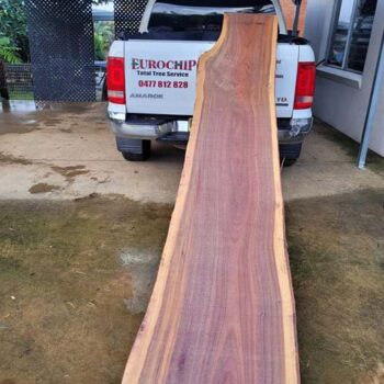 Nice Ribbon Gum Slab milled by Kelvin in Vic on his brand new Gt34 Sawmill