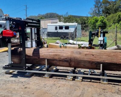 GT40 Ultra Intro Model - Image 2